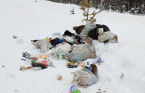 ОНФ в Коми помогает жителям Усть-Куломского и Корткеросского районов решать связанные с «мусорной реформой» проблемы