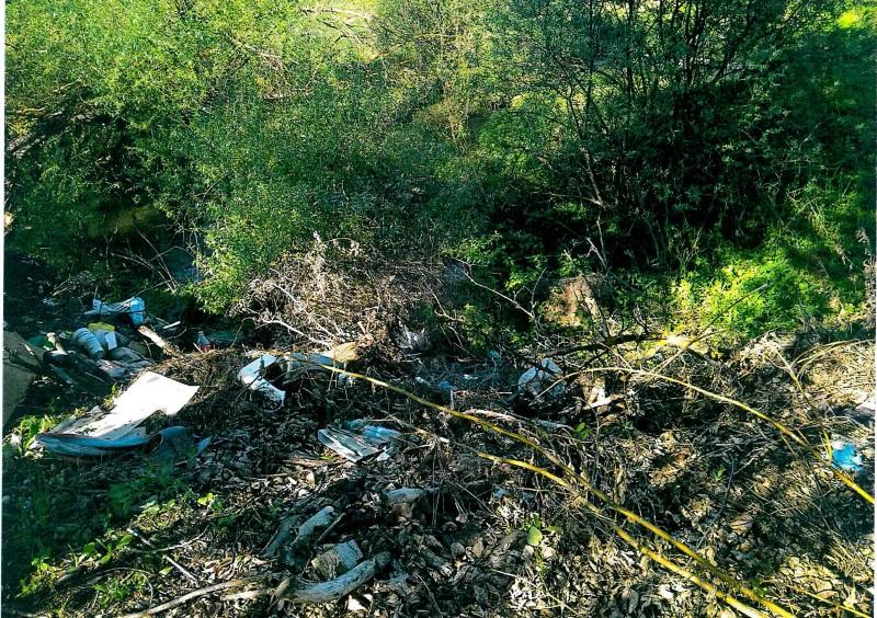 ОНФ в Мордовии призывает население и власти Чамзинского района очистить берега реки Нуя от мусора