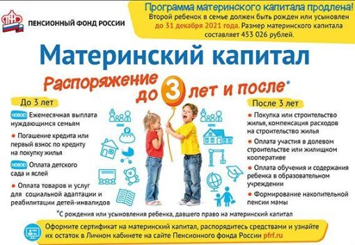 В Тамбовской области около 3,2 тыс. семей использовали средства материнского капитала на образование детей на сумму свыше 205 млн. рублей
