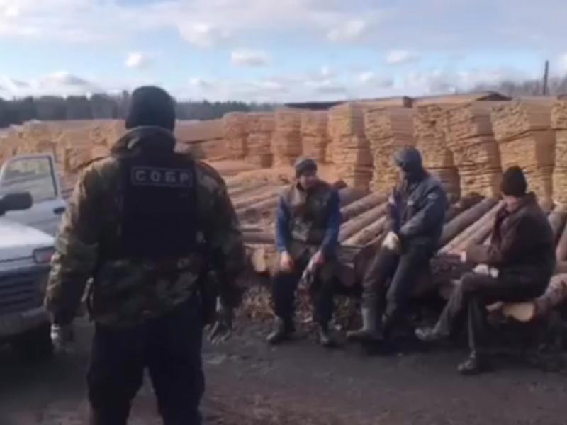 В Иркутской области полицейские совместно с сотрудниками СОБР и ОМОН Росгвардии задержали участников организованной группы, подозреваемых в незаконной рубке древесины