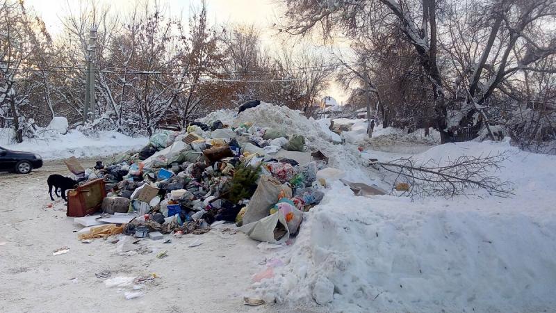 В Подмосковье продлили рейды по выявлению несанкционированных свалок в лесах