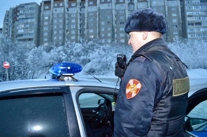 В Мурманске сотрудники Росгвардии задержали жителя Североморска за кражу дорогостоящего алкоголя