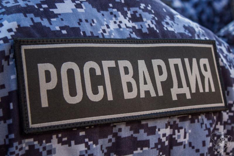 Росгвардейцы задержали псковича, подозреваемого в хищении