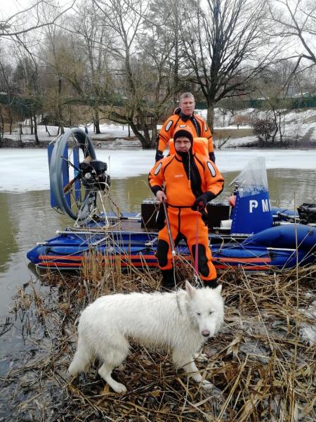 На реке Десна в Троицке спасена провалившаяся под лёд собака