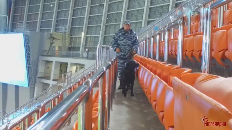В Екатеринбурге Росгвардия обеспечила охрану общественного порядка на футбольном матче Премьер - Лиги