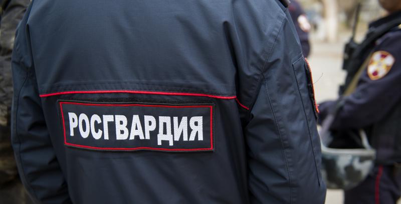 В Челябинске сотрудники вневедомственной охраны задержали подозреваемого в краже металлической решётки из детского сада