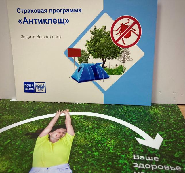Жители Ярославской области могут приобрести в почтовых отделениях страховку от укусов клещей