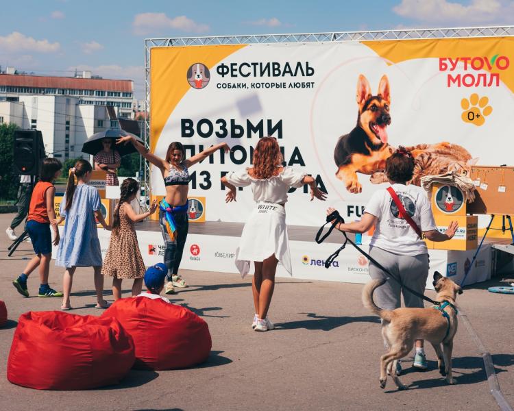 Фестиваль «Собаки, которые любят», прошедший
в минувшее воскресенье в Бутово, был по-летнему жарким