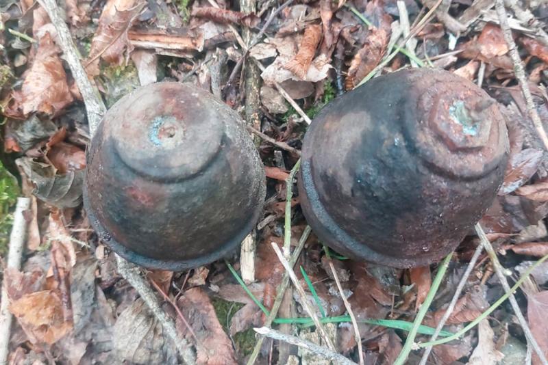 Обнаруженные в населенных пунктах Кубани гранаты времен ВОВ уничтожили взрывотехники Росгвардии