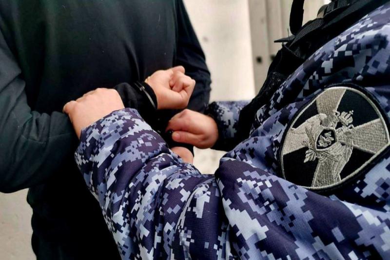 В Подмосковье сотрудники Росгвардии задержали подозреваемого в нанесении побоев женщине