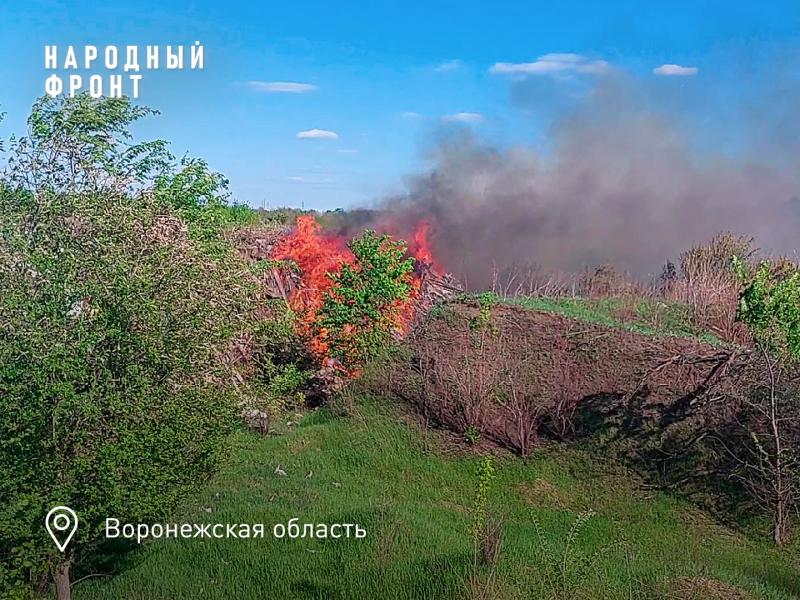 Еще одну незаконную помойку создали муниципальные власти в Воронежской области