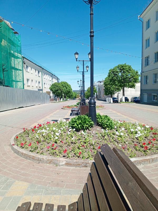 у кости купили песню и выложили сеть