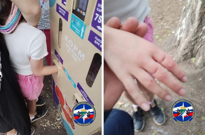 Ребенок застрял в автомате с кормом для белок в Новосибирске