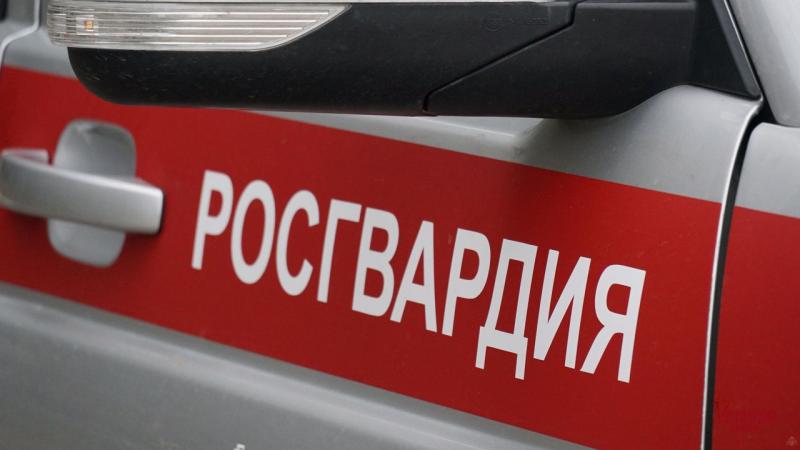 В Тольятти росгвардейцы задержали мужчину, который одновременно находился в местном и федеральном розыске
