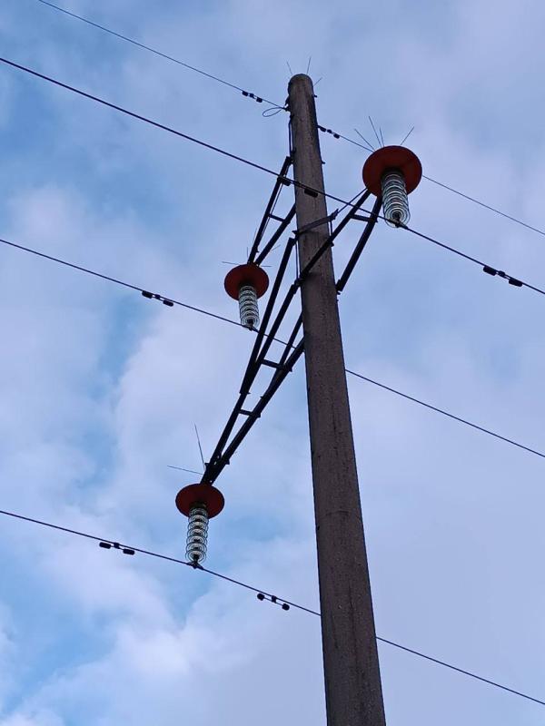Смоленские энергетики установили 114 птицезащитных устройств на линиях электропередачи