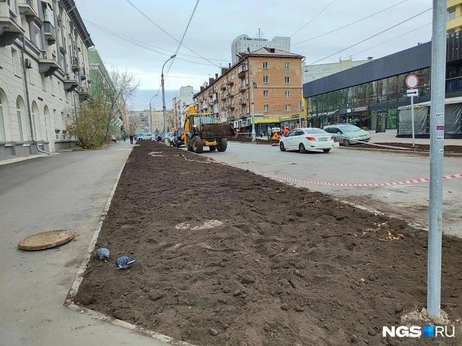 «Пусть наводят красоту»: на Урицкого под зиму высадят деревья — агроном объяснила, приживутся ли они