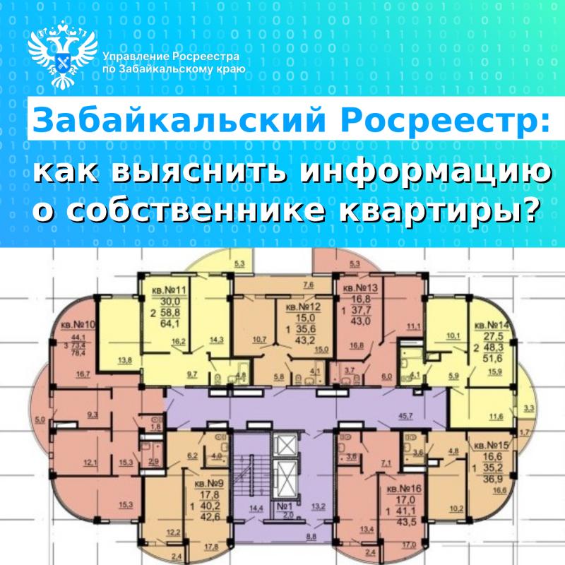 Забайкальский Росреестр: как выяснить информацию о собственнике квартиры