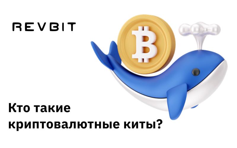 Кто такие криптовалютные киты?