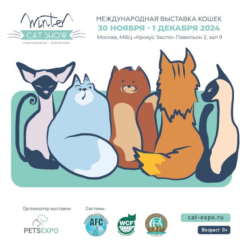 Winter Cat Show: экспертиза более 40 пород кошек и благотворительная выставка-пристройство бездомных животных состоятся в Москве