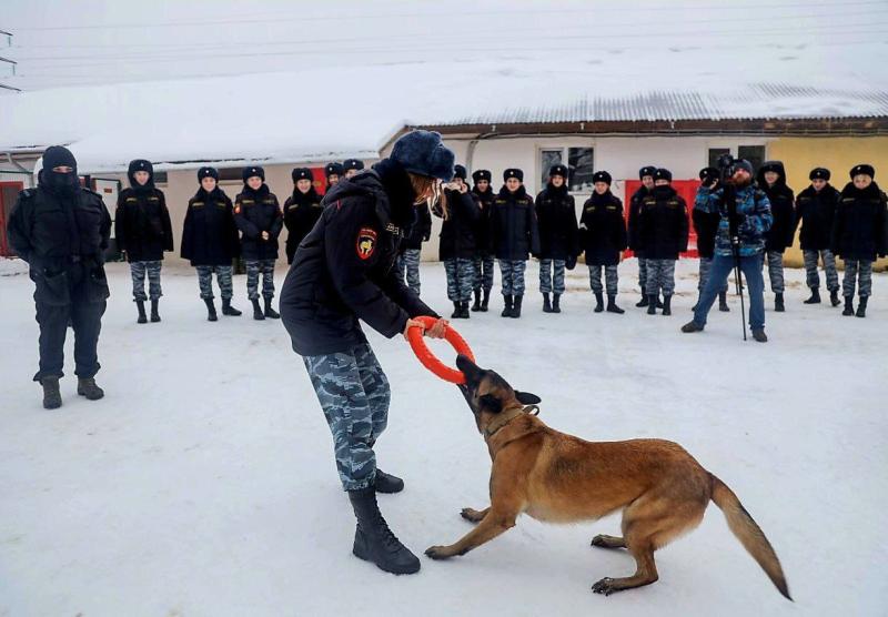 В Подмосковье курсанты «Гвардейской смены» познакомились с работой кинологов ОМОН «Пересвет» Росгвардии