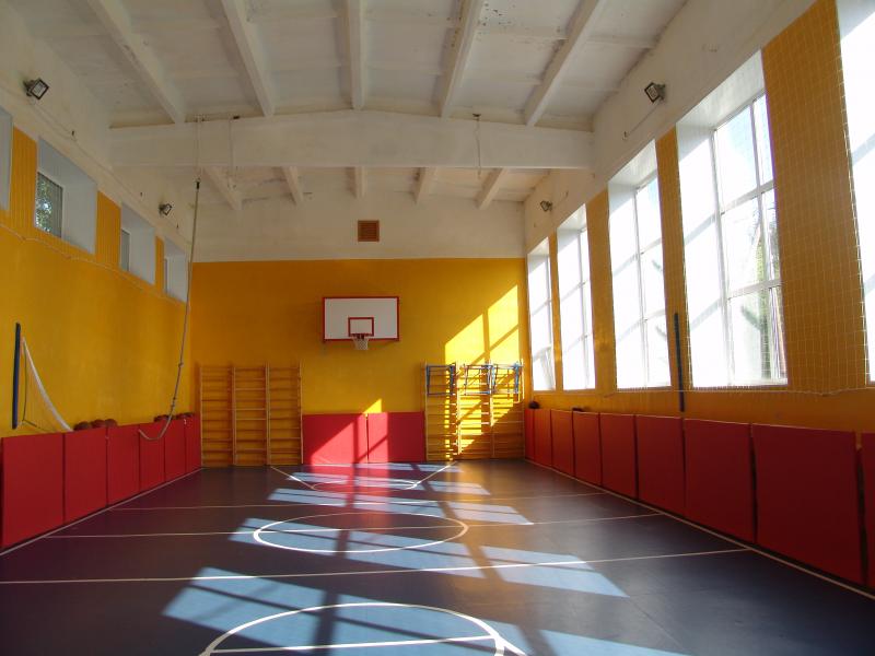 Активисты ОНФ проверили состояние спортивных залов и площадок в сельских школах Омской области