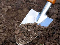 О выявлении самовольного снятия и перемещения плодородного слоя почвы в Ростовской области.